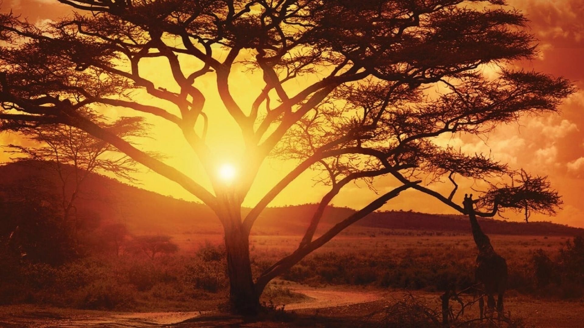 Nowhere in Africa