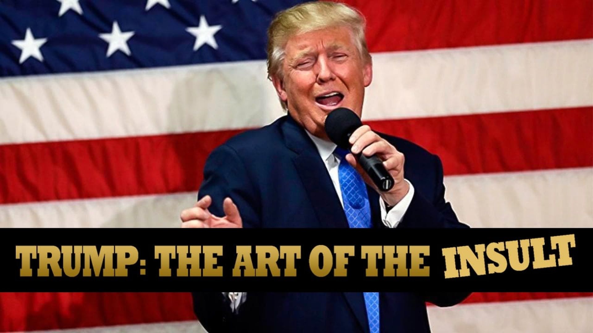 Trump: The Art of the Insult