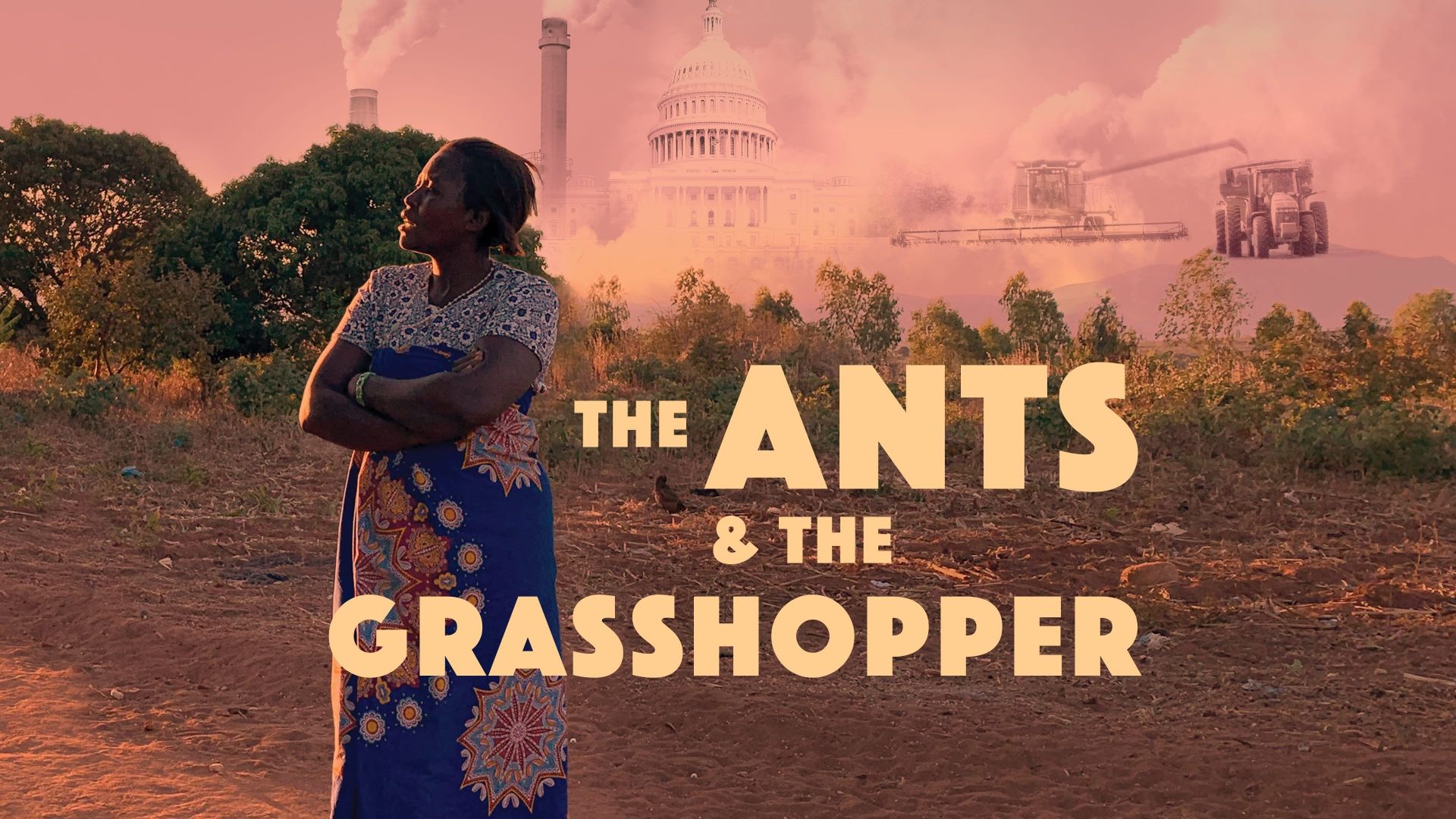 The Ants & the Grasshopper