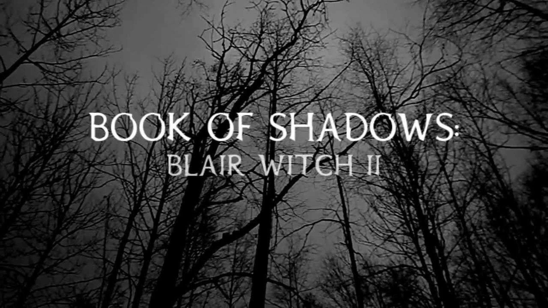 Book of Shadows: Blair Witch 2