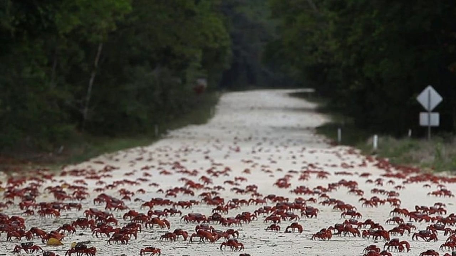 Island of the Hungry Ghosts