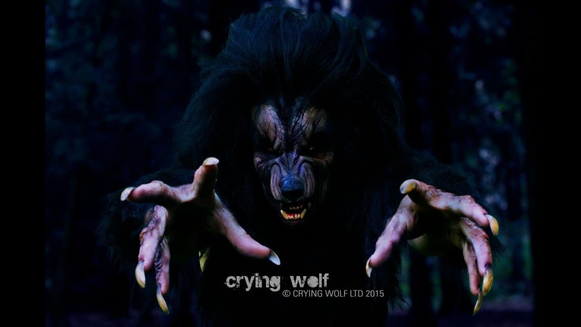 Crying Wolf 3D