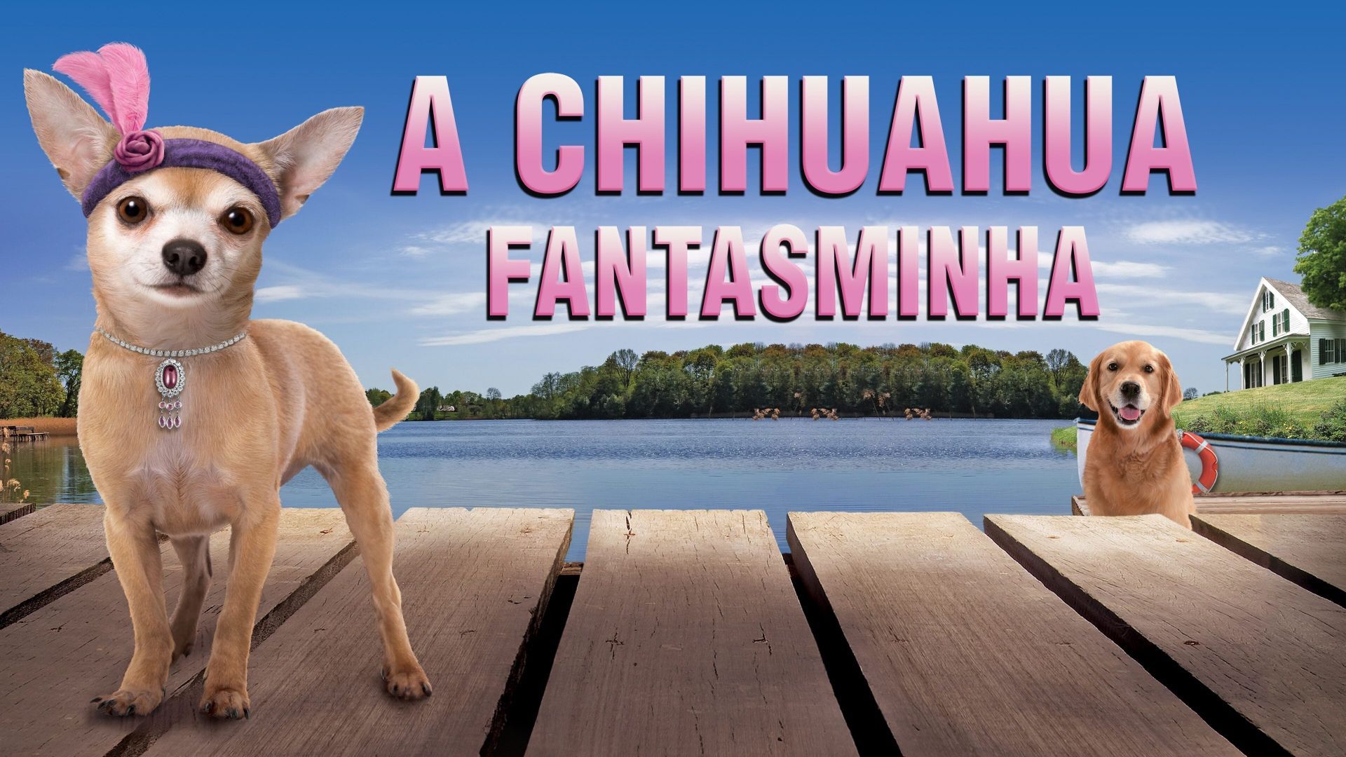 Chihuahua Too!