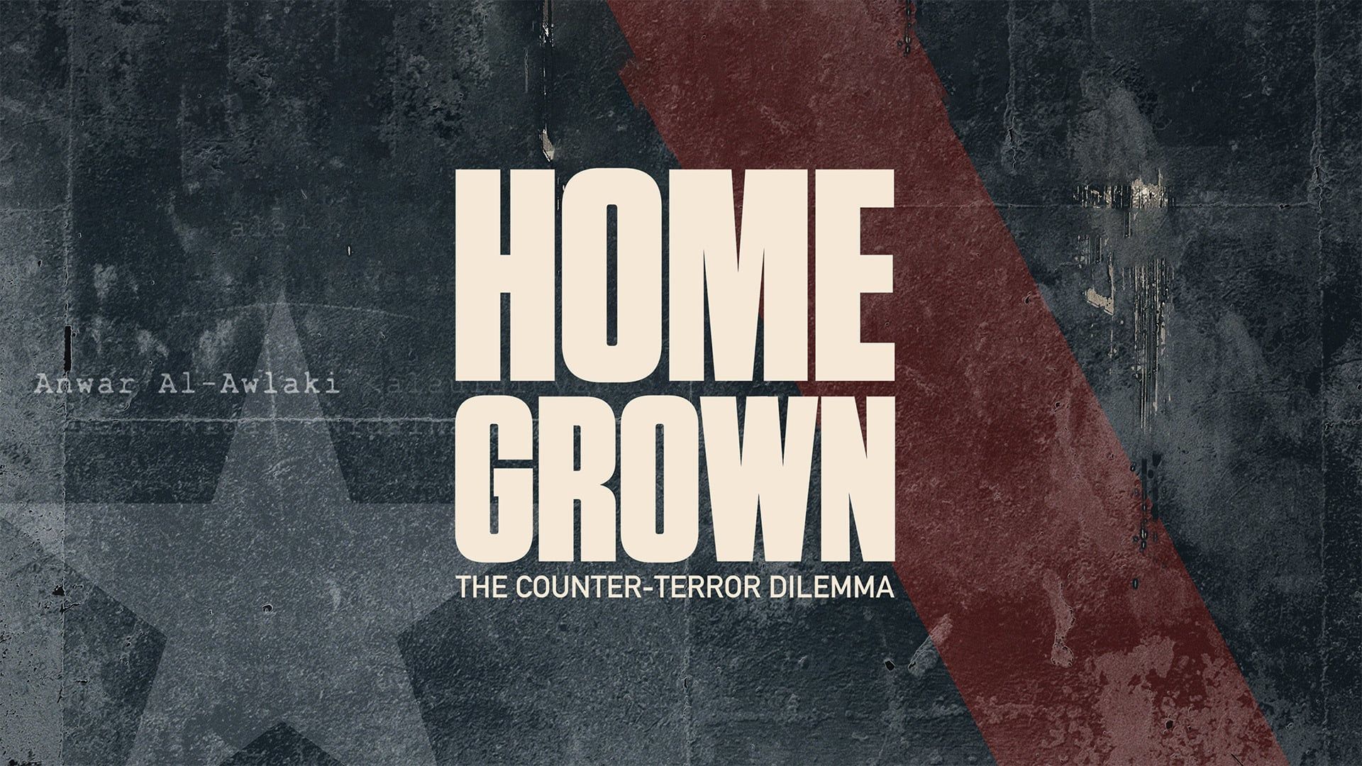 Homegrown: The Counter-Terror Dilemma