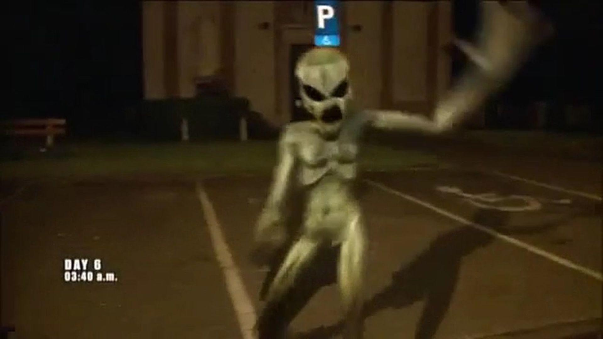 Report 51