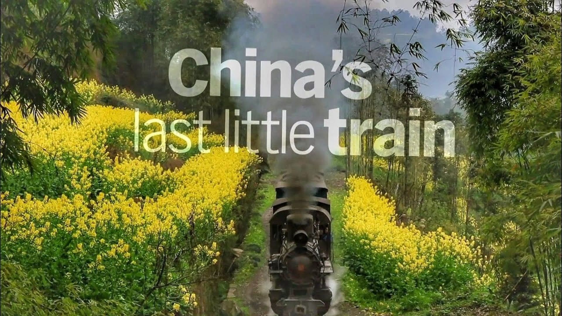 The Last Little Train in China