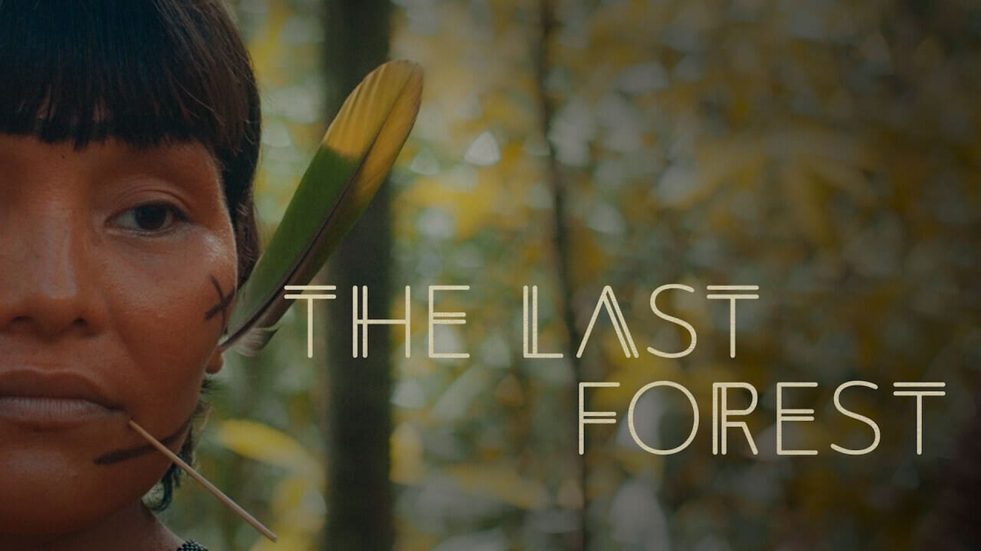 The Last Forest