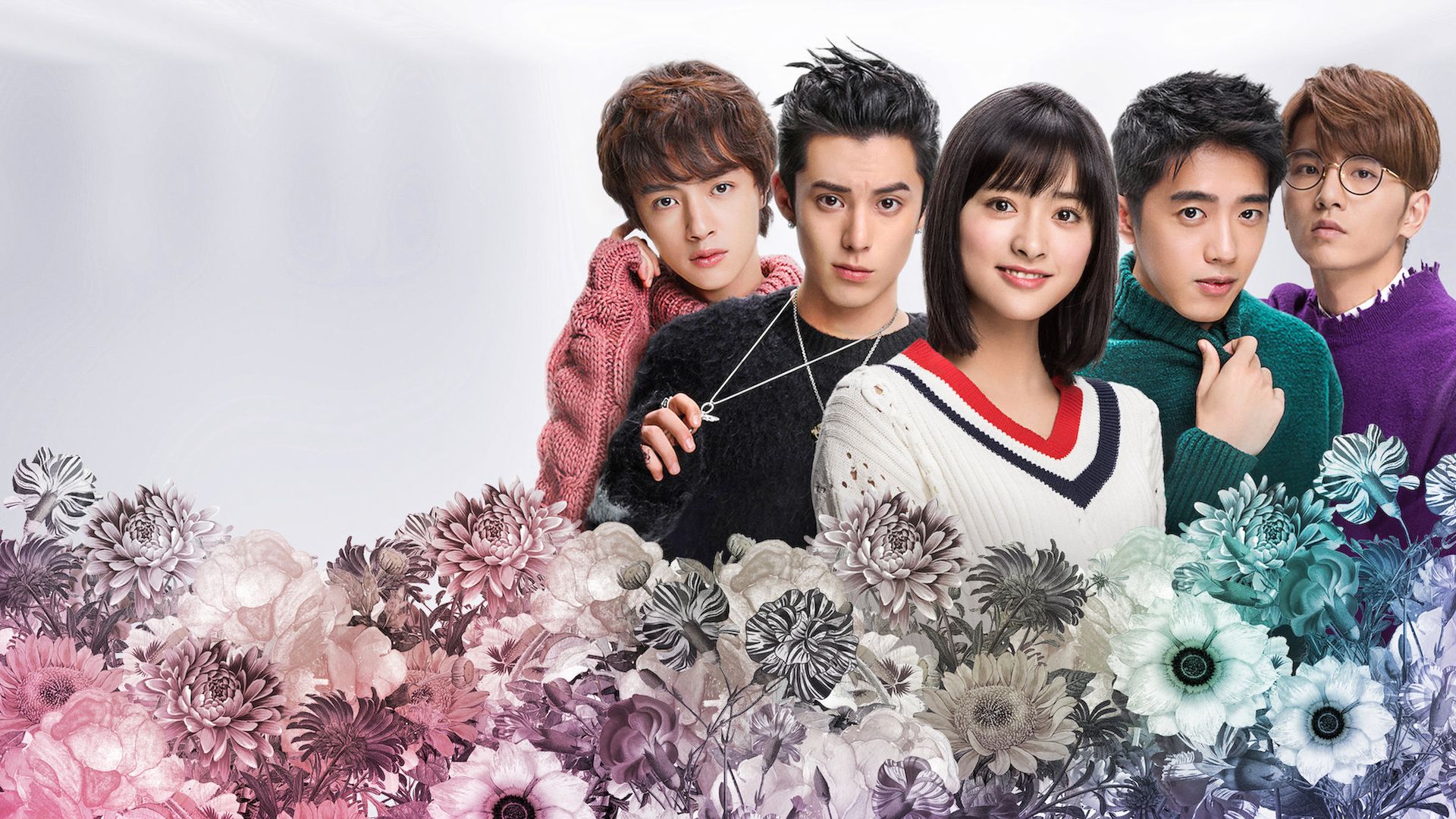 Meteor Garden