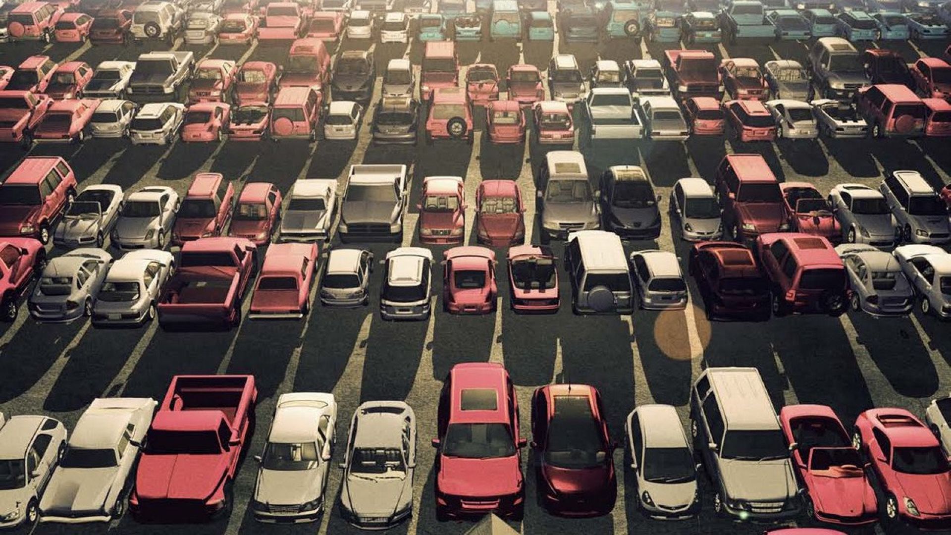 The Parking Lot Movie