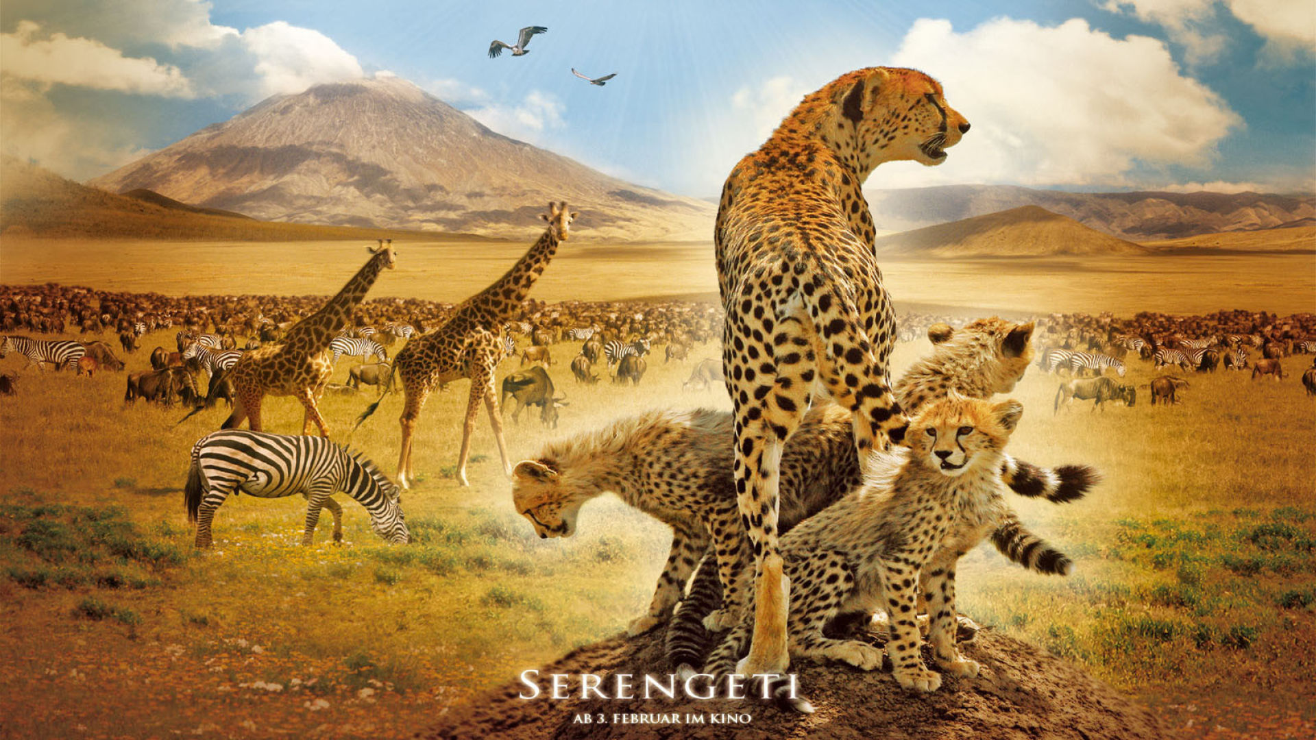 Serengeti