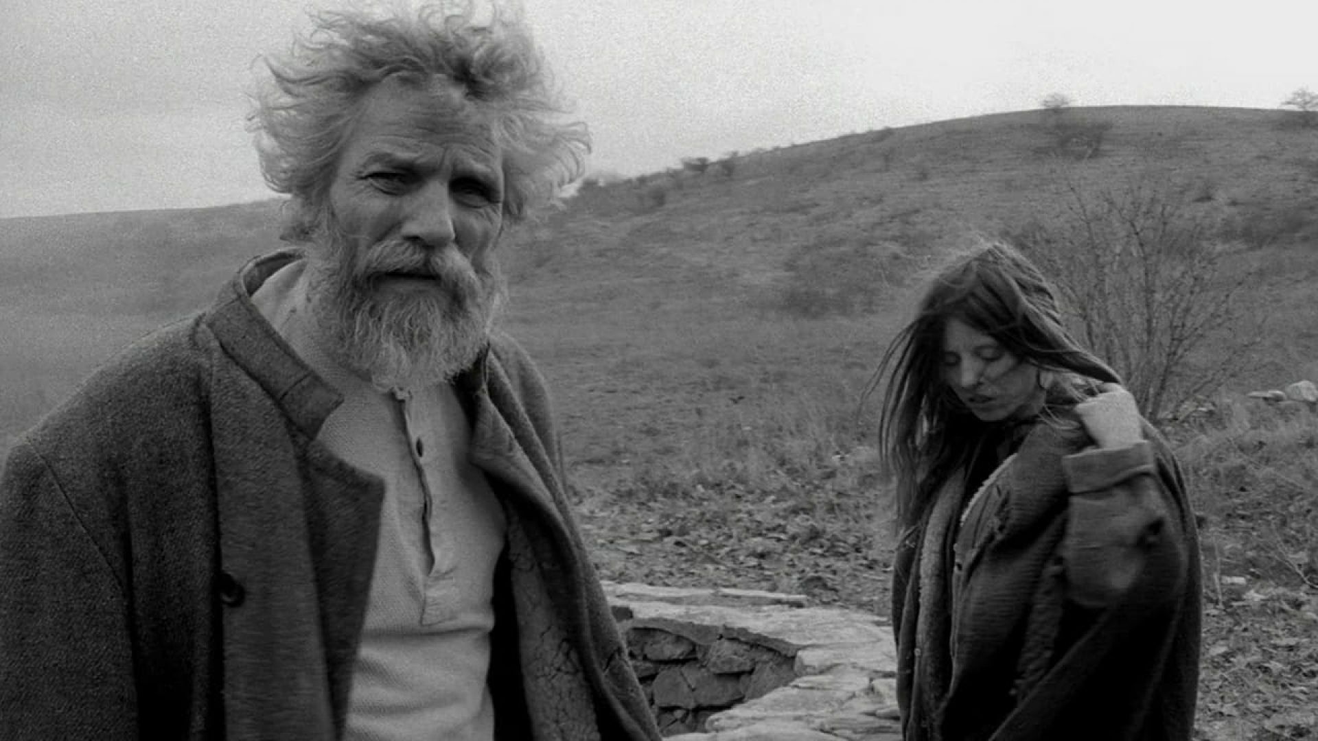 The Turin Horse