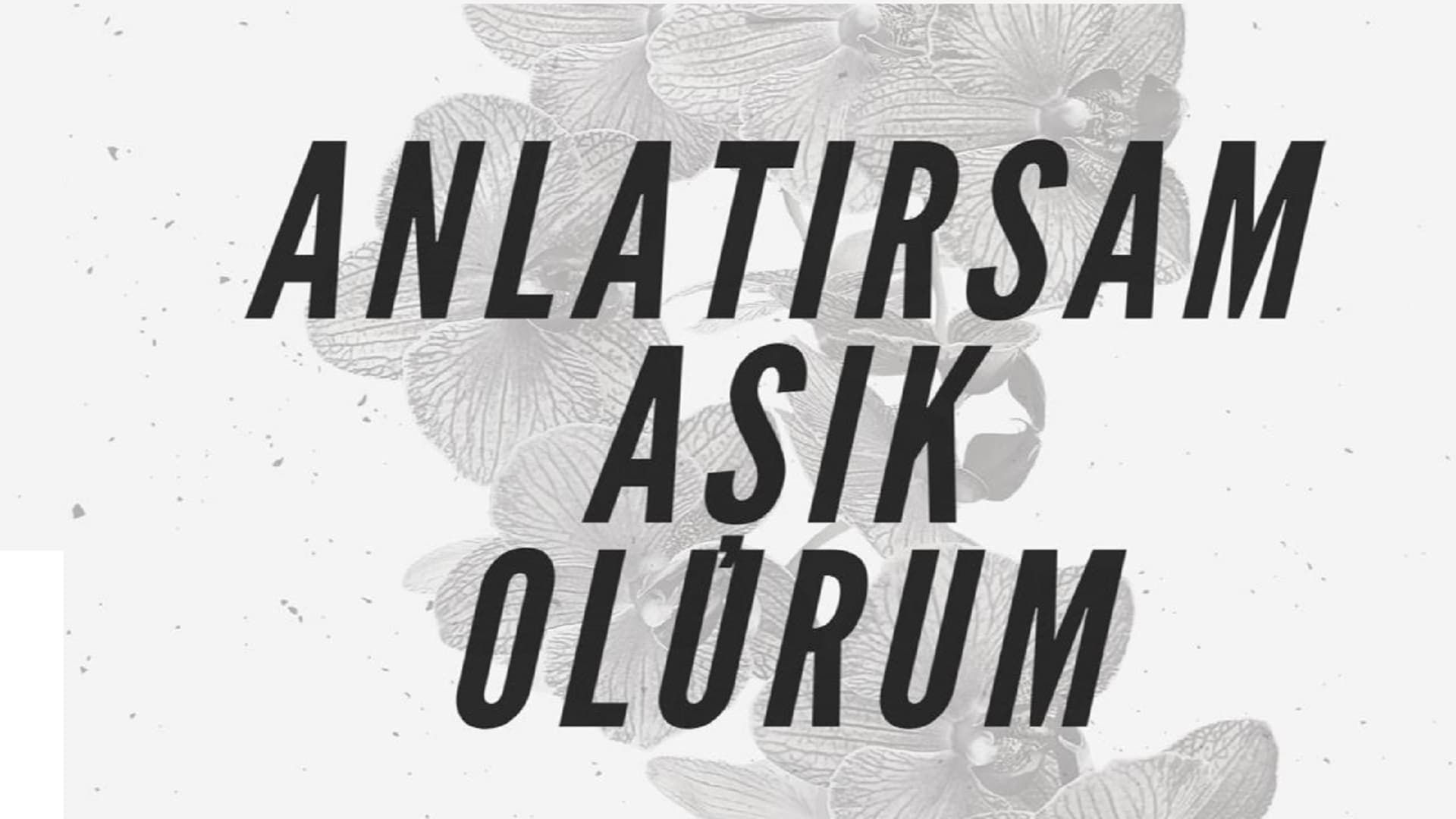 Anlatirsam Asik Olurum