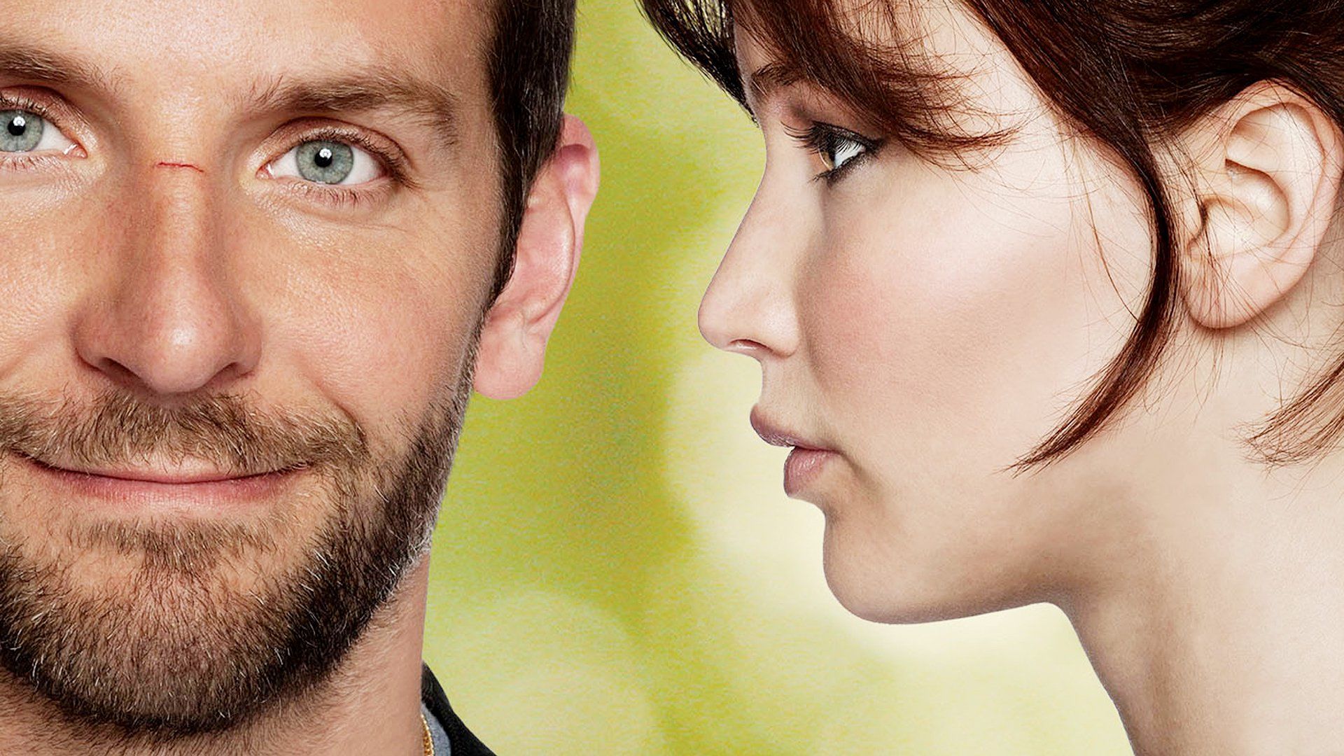 Silver Linings Playbook