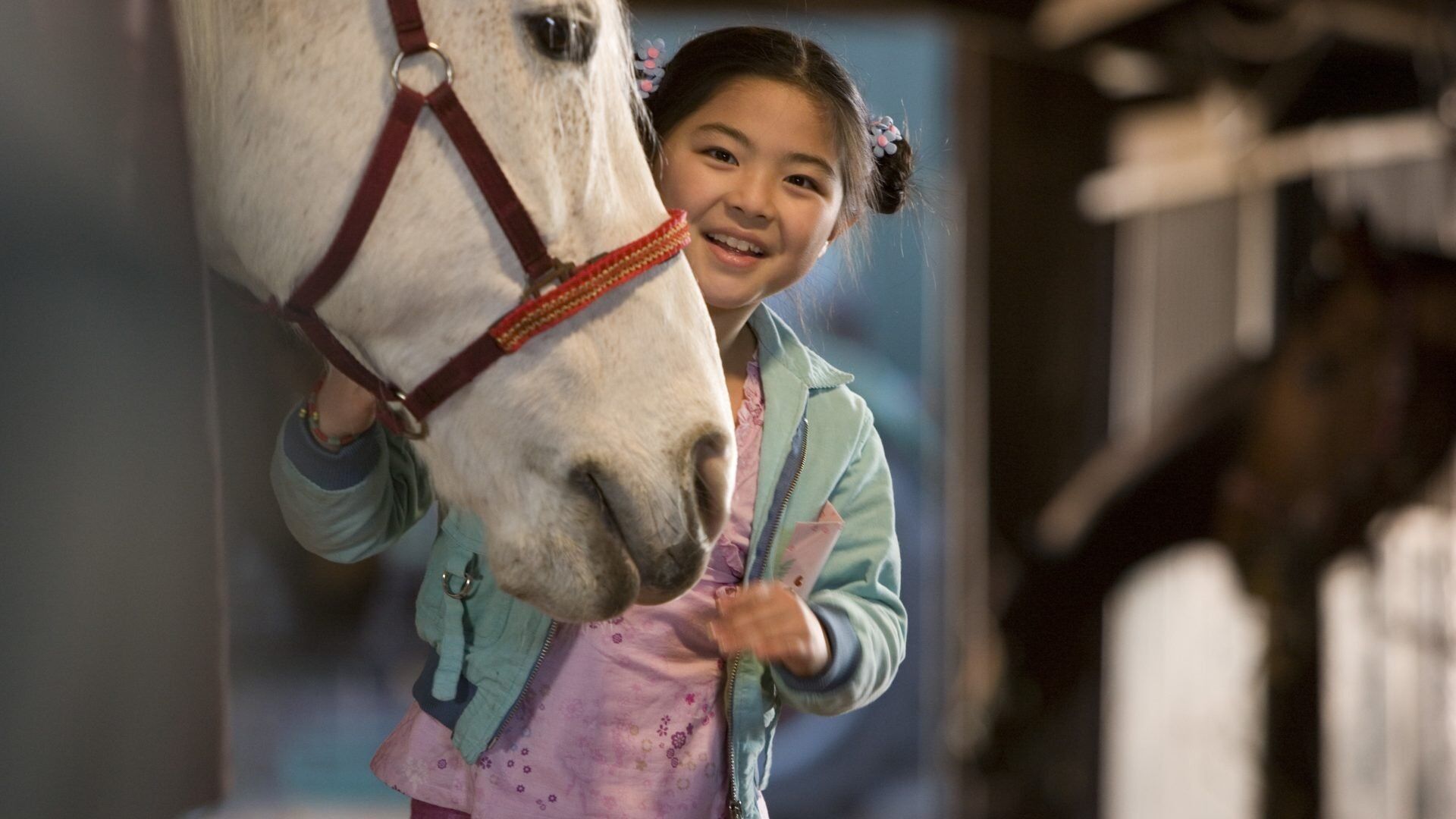 Where Is Winkys Horse?