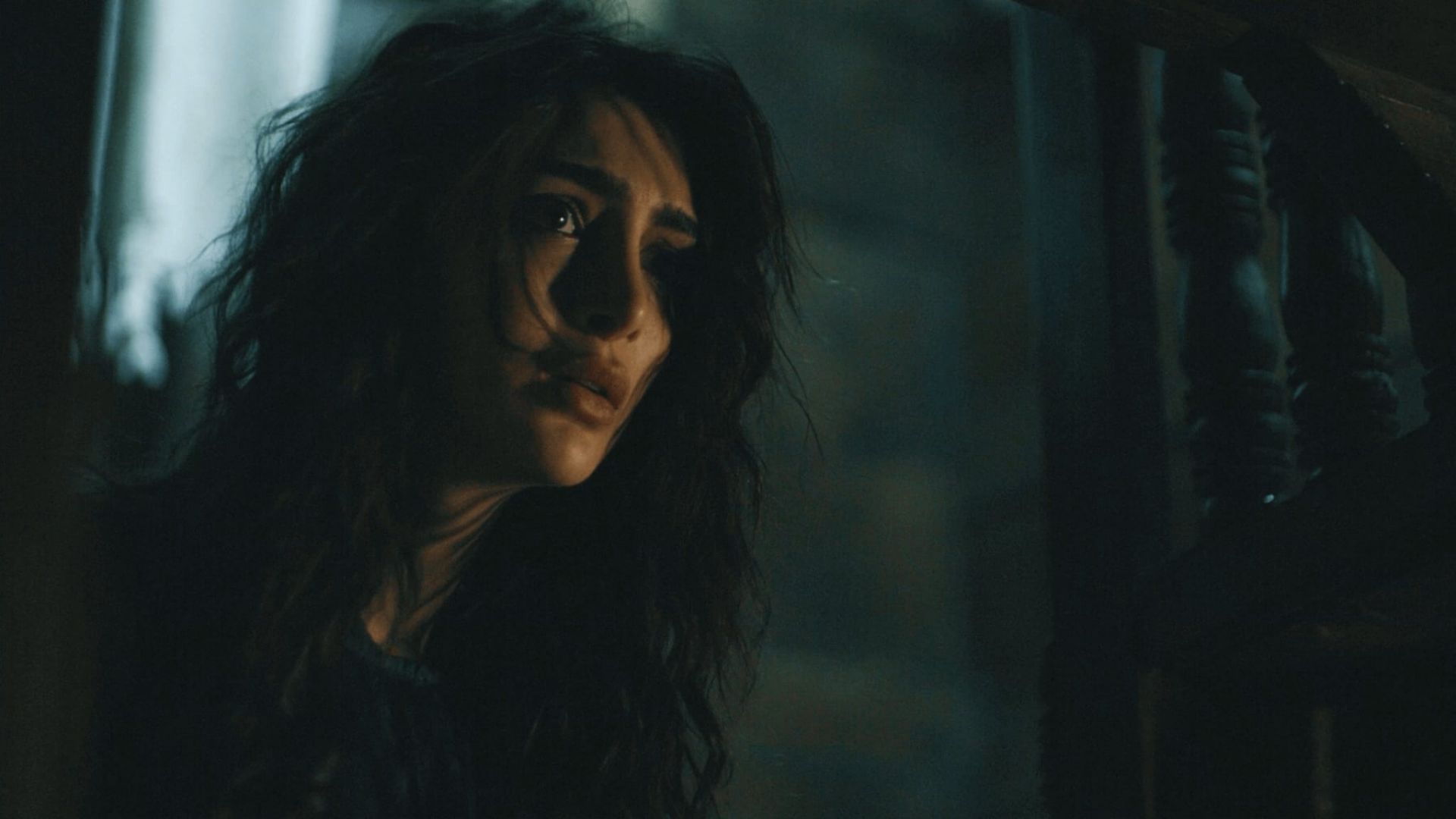 Haile: A Family Nightmare (Haile: Bir Aile Kâbusu)