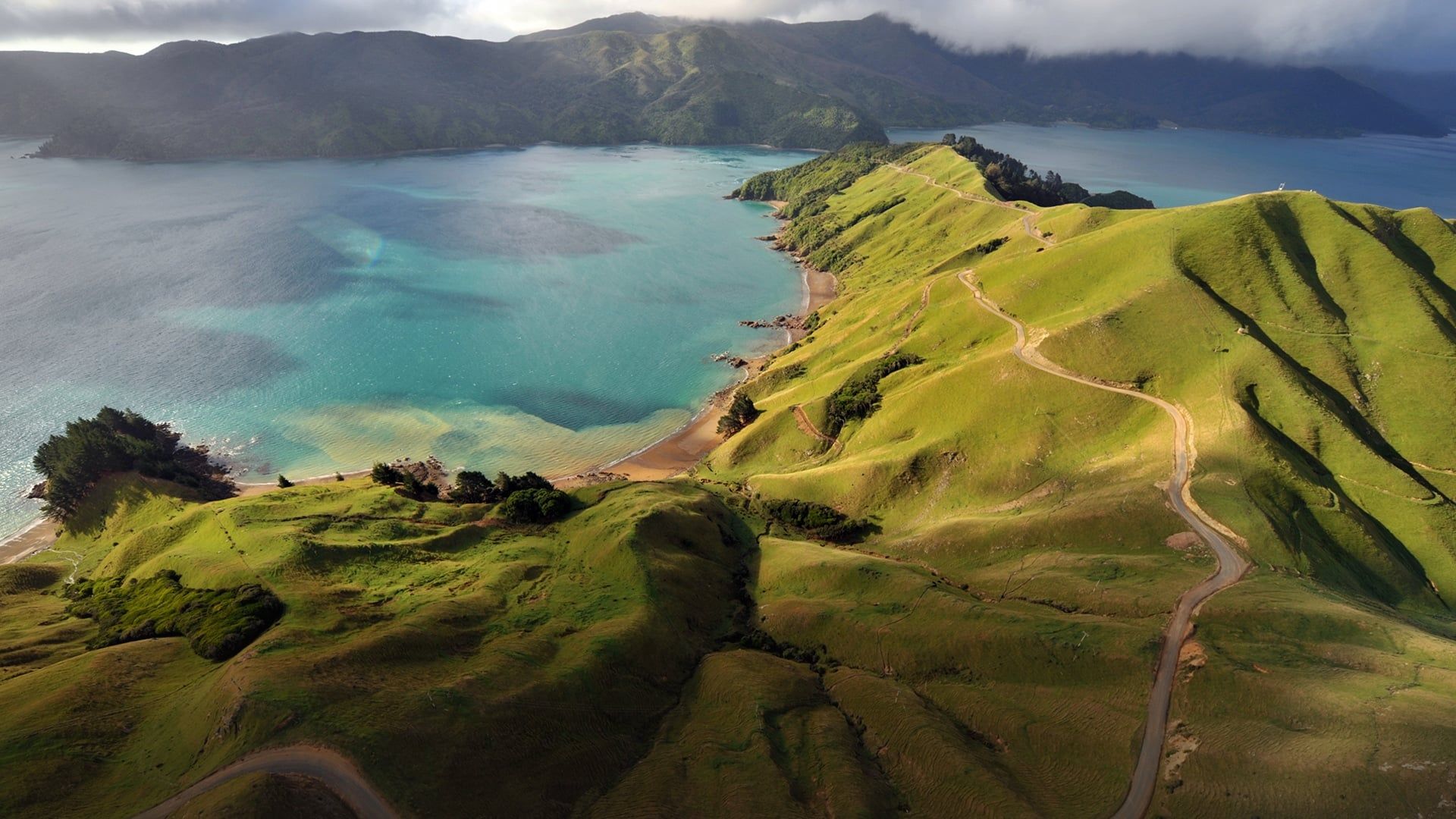 Aerial New Zealand