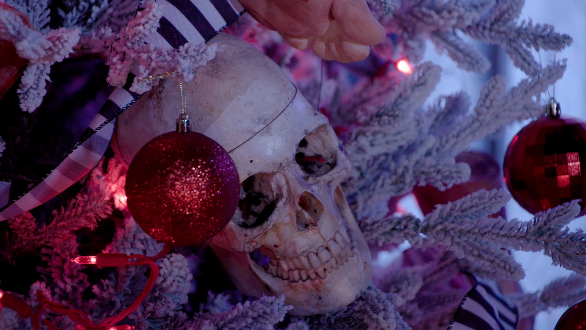 The Boulet Brothers Holiday of Horrors