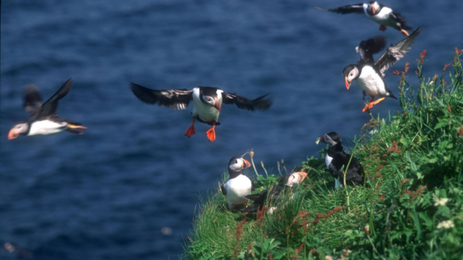 Hebrides: Islands on the Edge