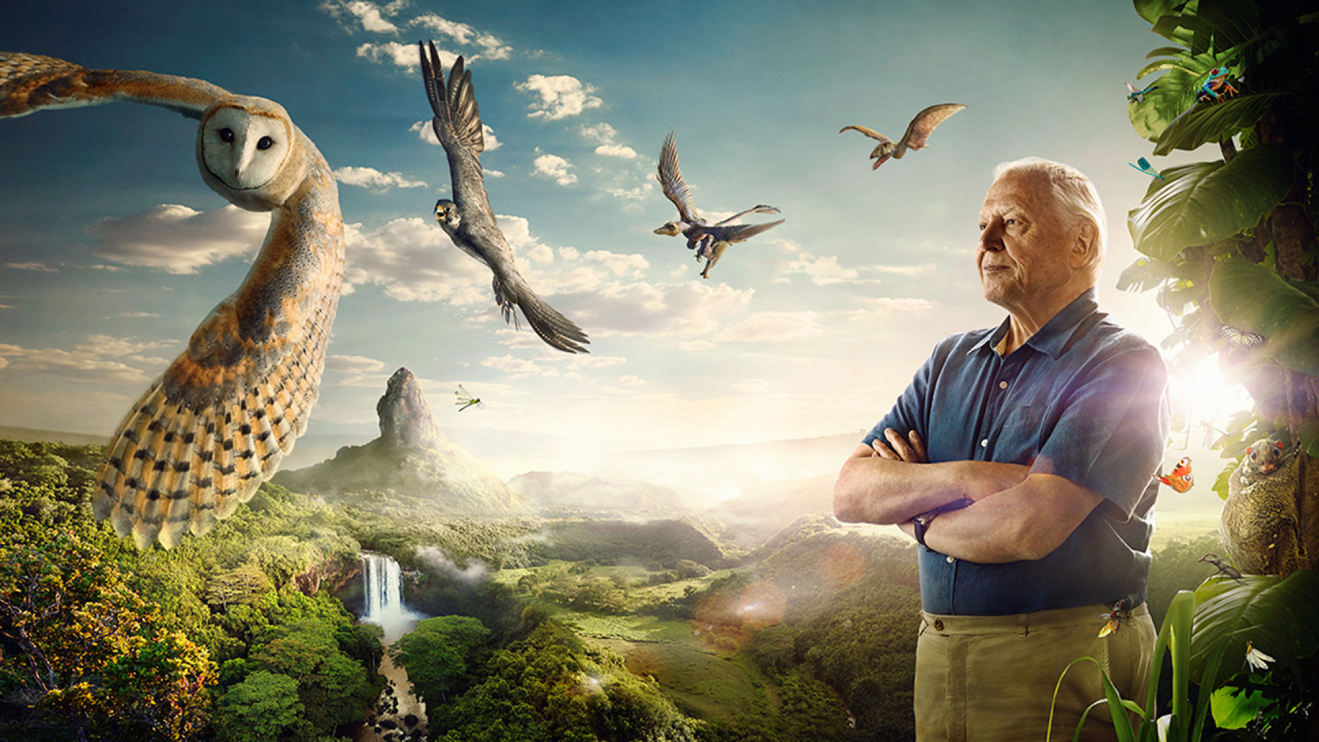 David Attenborough's Conquest of the Skies