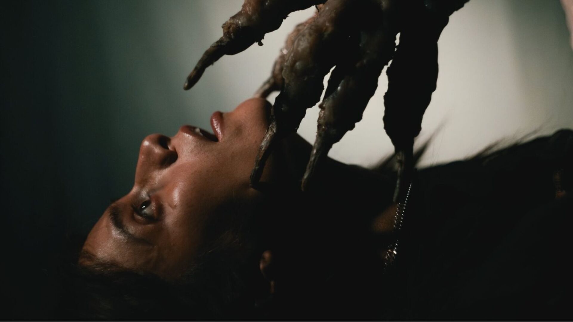 Dont Follow Me (No Me Sigas)