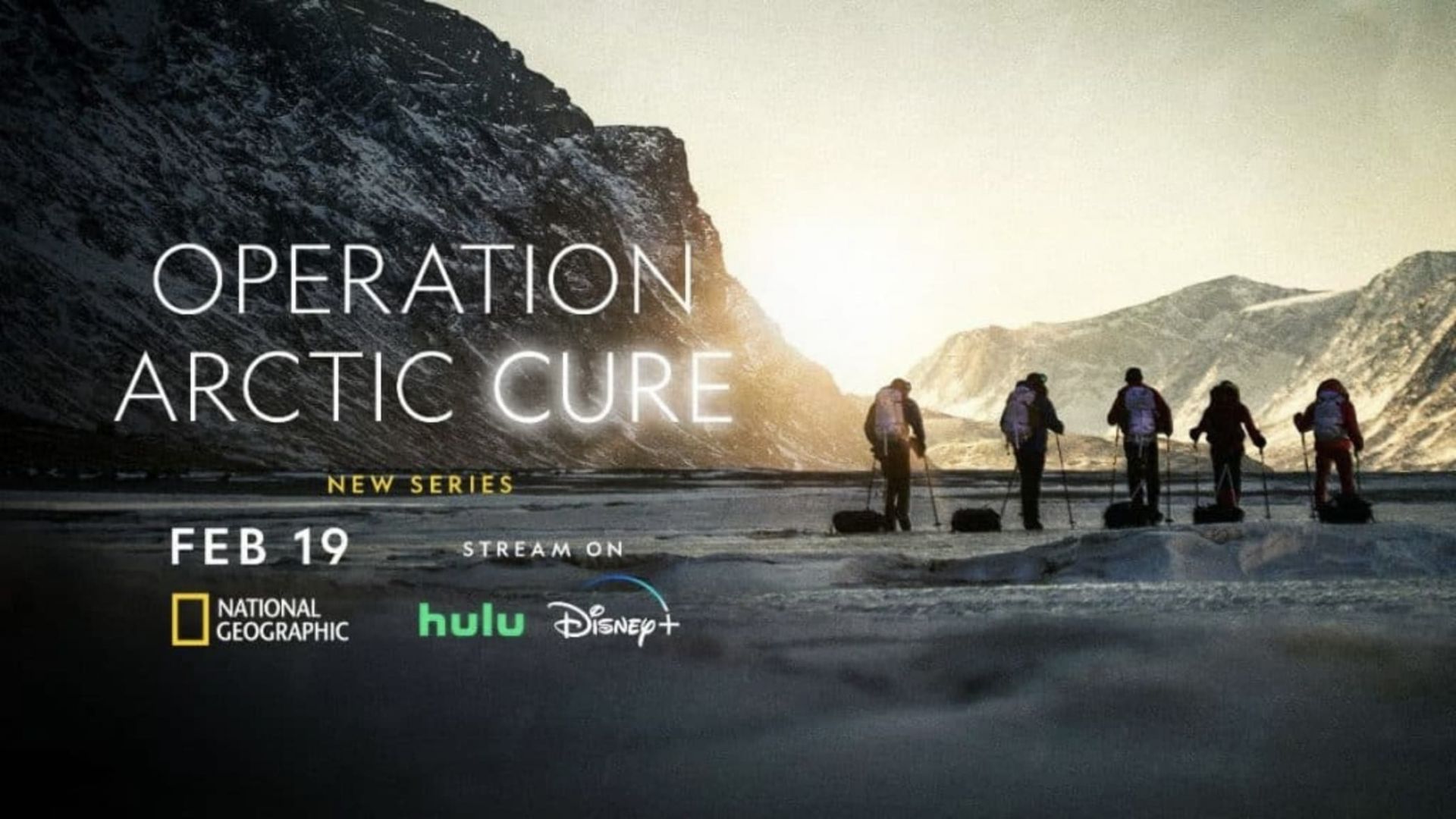 Operation Arctic Cure