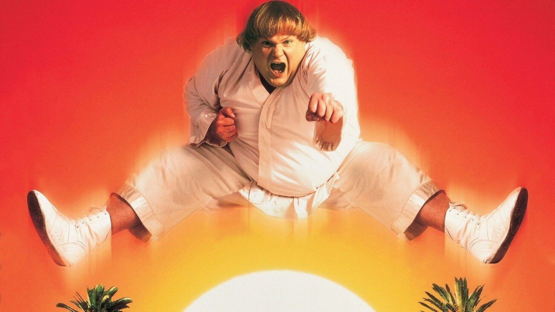 Beverly Hills Ninja