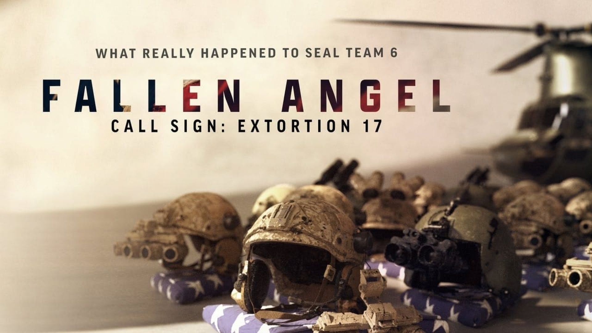 Fallen Angel: Call Sign - Extortion 17