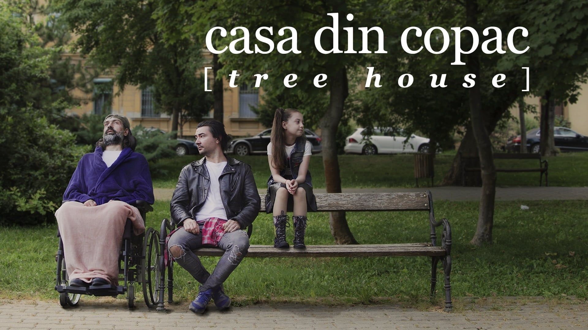 Casa din copac