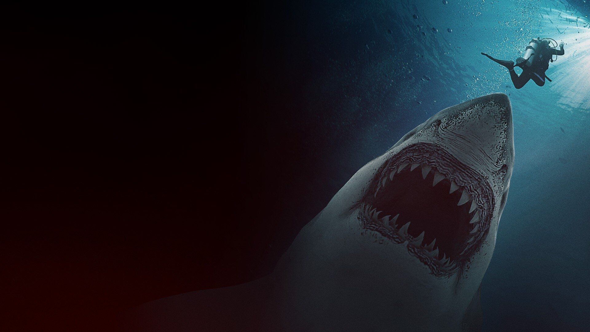 Great White Waters
