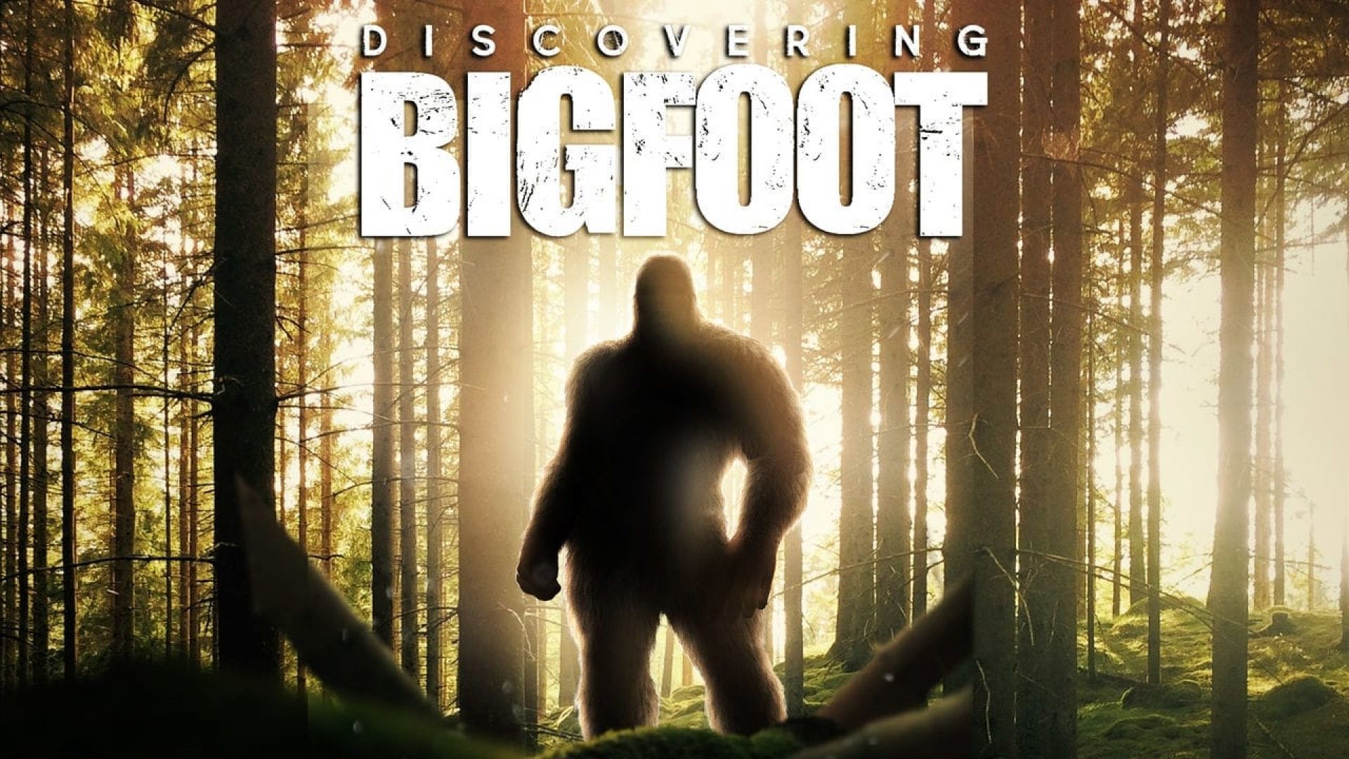 Discovering Bigfoot