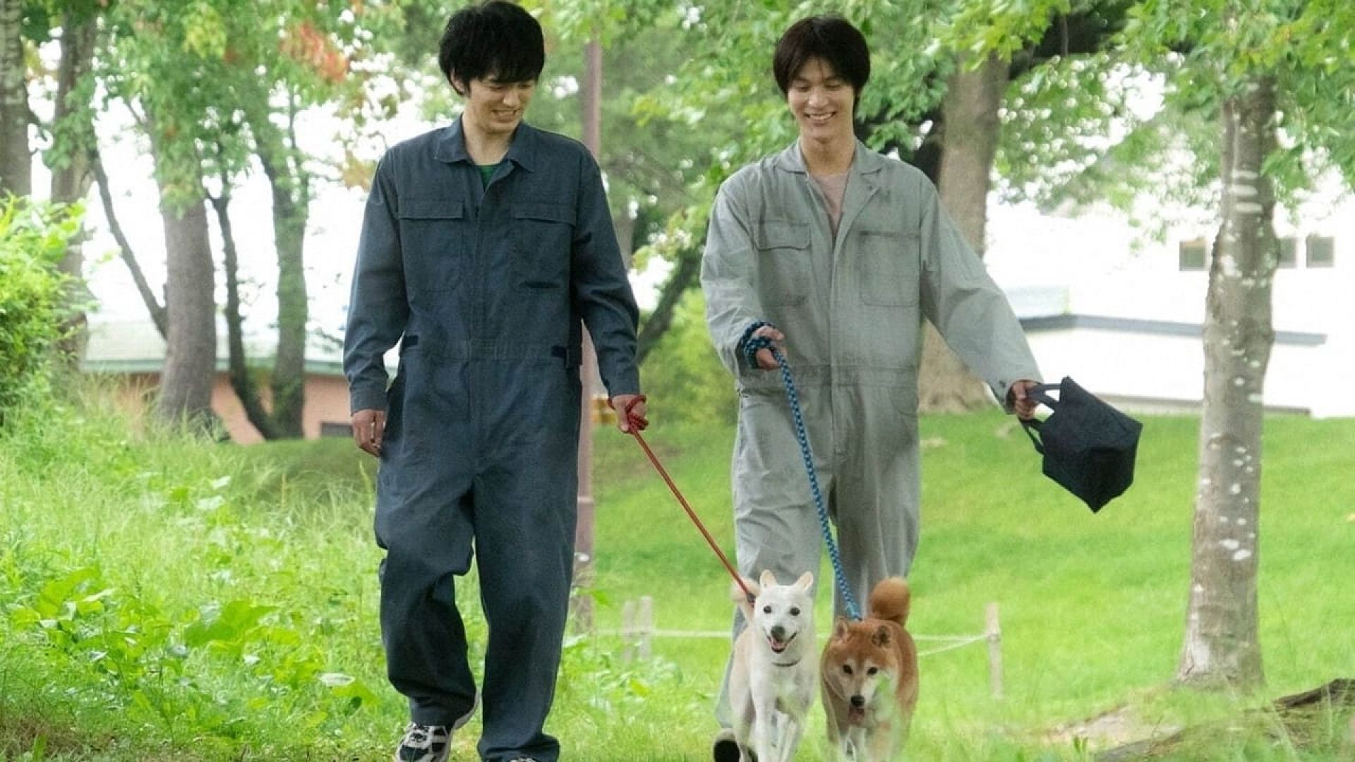 Inubu