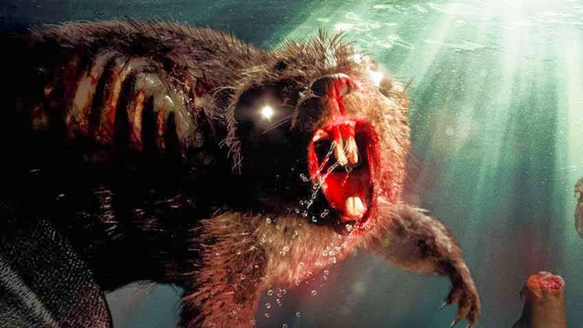 Zombeavers