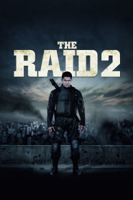 The Raid 2 (2014)