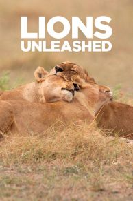 Lions Unleashed (2017)