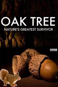 Oak Tree: Natures Greatest Survivor (2015)