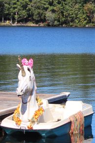 Go Fish (2016)