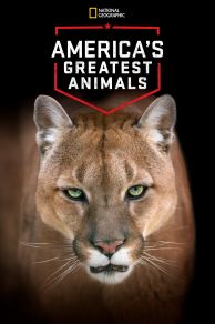 Americas Greatest Animals (2012)