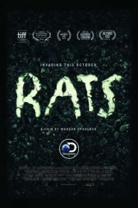 Rats (2016)