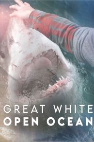 Great White Open Ocean (2022)