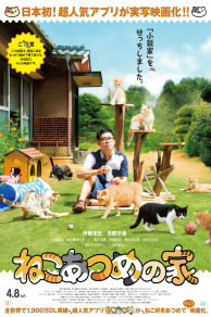 Neko Atsume House (2017)