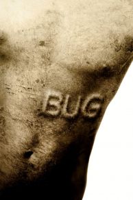 Bug (2006)