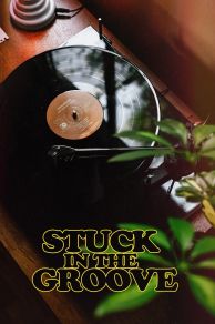 Stuck in the Groove (A Vinyl Documentary) (2021)