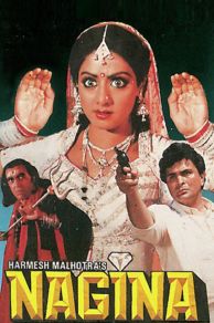 Nagina (1986)