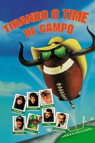 Necessary Roughness (1991)