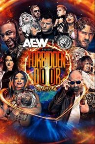 AEW X NJPW: Forbidden Door (All Elite Wrestling x New Japan Pro Wrestling: Forbidden Door) (2024)