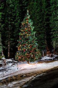 Meet Me at Christmas (2020)