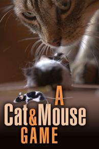 A Cat and Mouse Game (2019)