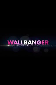 Wallbanger (2024)