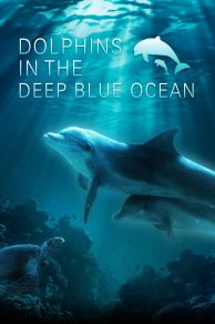 Dolphins in the Deep Blue Ocean (2009)