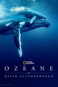 Ocean with David Attenborough (2025)